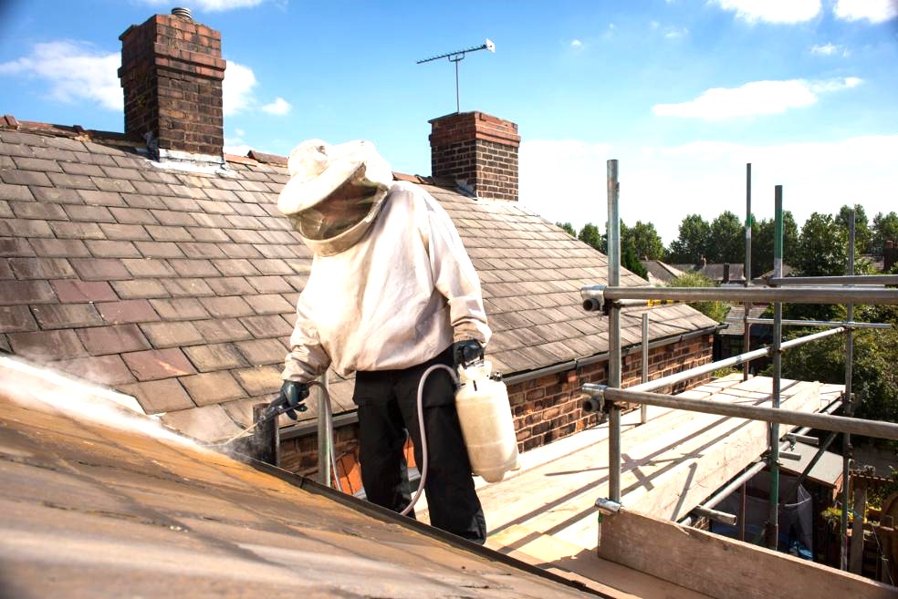 darázsirtás Miskolc